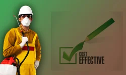 cost effective bird pest control services Nadiad