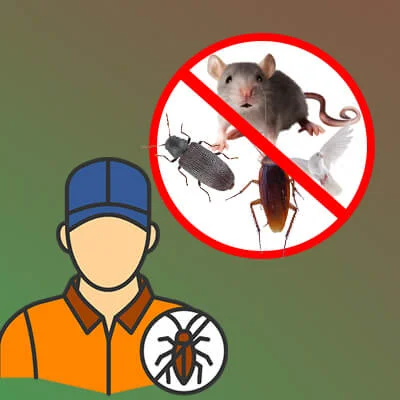 General Pest Control In India
