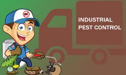 Industrial Wood Borer Pest Control In Gujarat