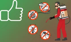 Rex - Pest Control Consultancy Company in Ahmedabad