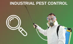 Transparency Vector Pest Control Services Rajkot